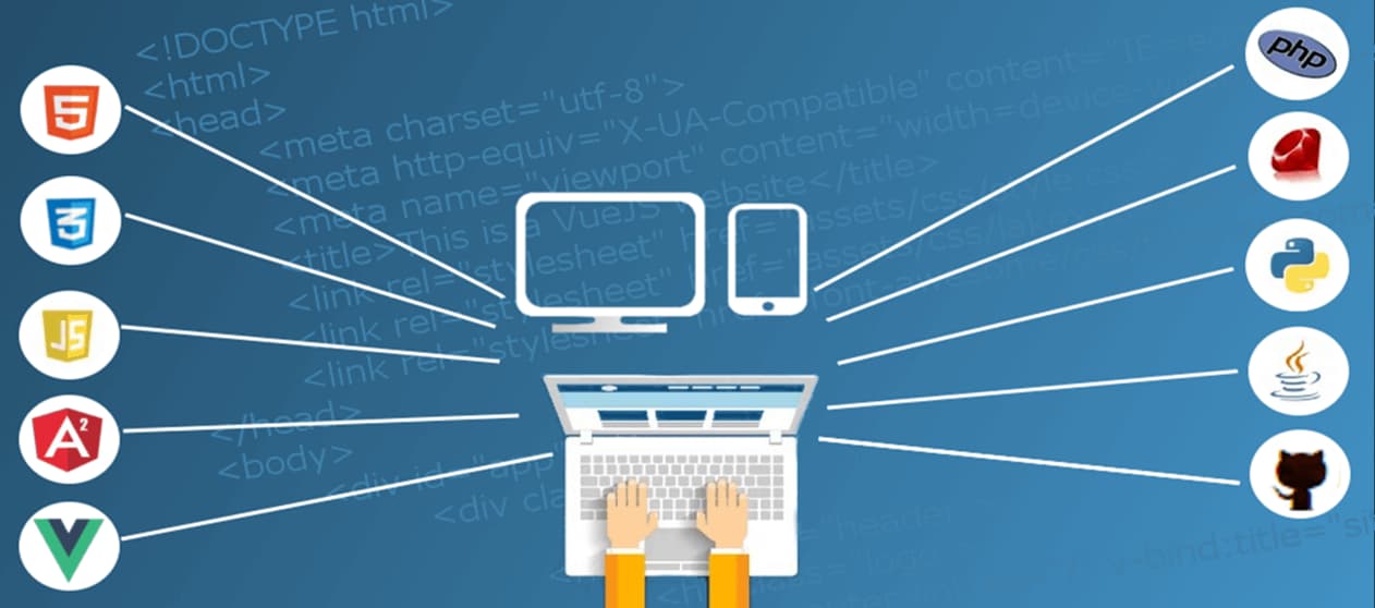 Web Development Basics: A Gateway to the Digital Realm